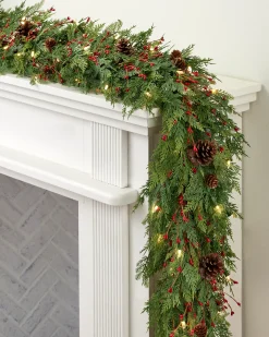 Cedar Berry Woods Foliage