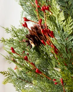 Cedar Berry Woods Foliage