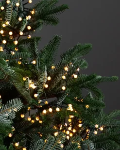 Cherry Light Strings