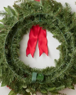 Citrus Spice Foliage