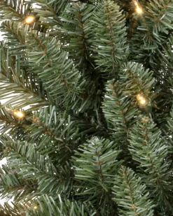 Classic Blue Spruce® Foliage