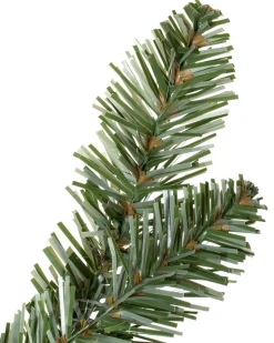 Classic Blue Spruce® Foliage