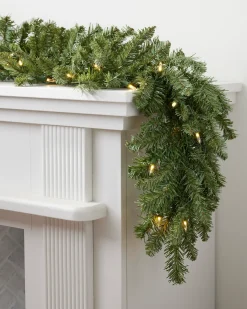 Classic Blue Spruce® Foliage