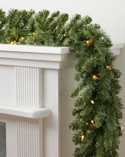 Classic Blue Spruce® Foliage