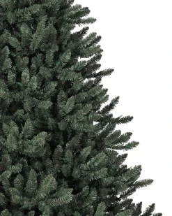 Classic Blue Spruce Trees
