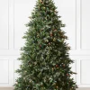 Colorado Mountain Spruce® Trees