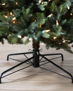 Colorado Mountain Spruce® Trees