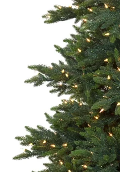 Colorado Mountain Spruce® Trees