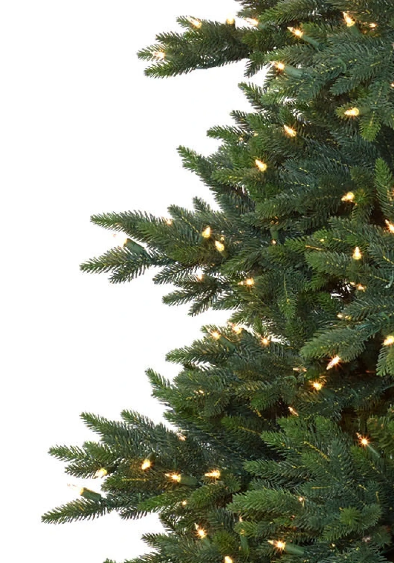Colorado Mountain Spruce® Trees