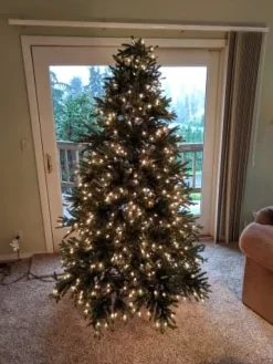 Colorado Mountain Spruce® Trees