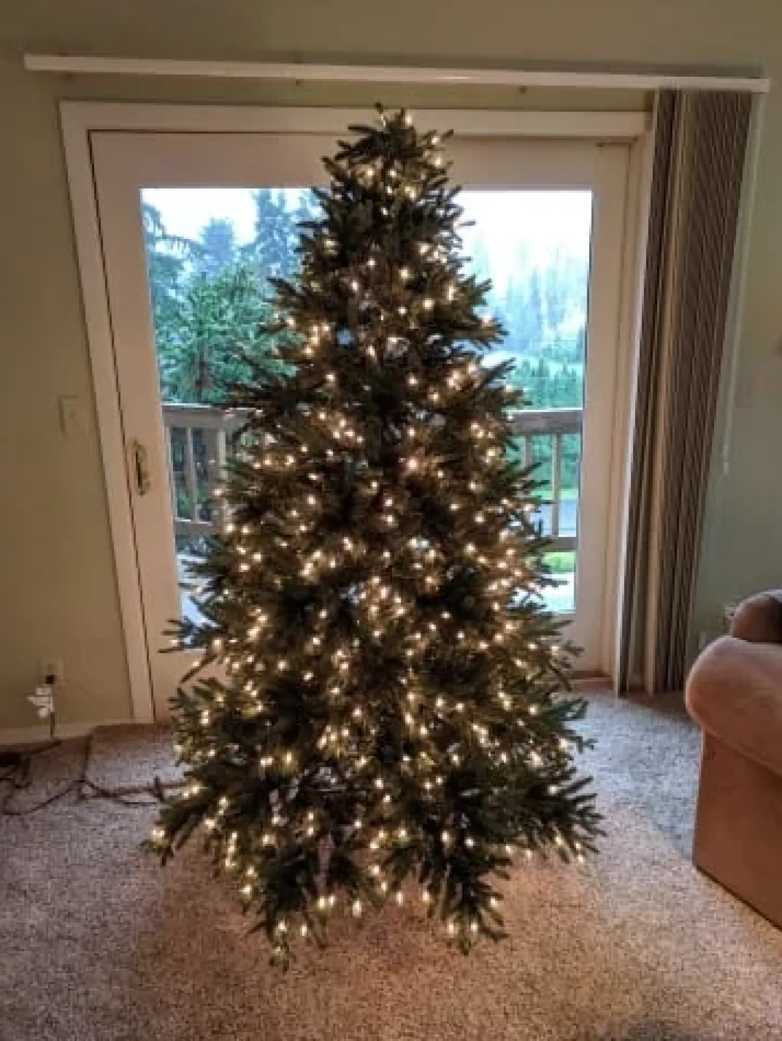 Colorado Mountain Spruce® Trees