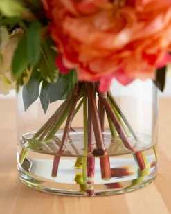 Coral Garden Floral Foliage