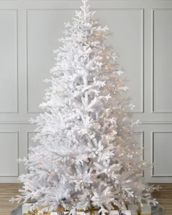 Denali White® Trees