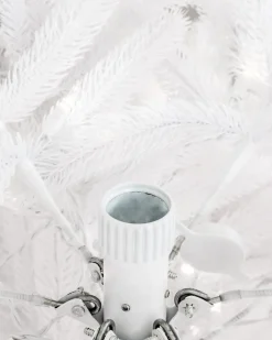 Denali White® Trees