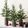 Evergreen Saplings Tabletop Trees
