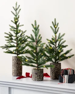 Evergreen Saplings Tabletop Trees