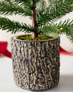 Evergreen Saplings Tabletop Trees