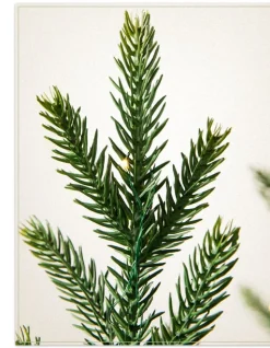 Evergreen Saplings Tabletop Trees