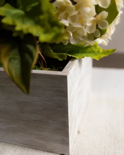 Fairytale Pumpkin Foliage