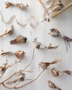 Feathered Friends Christmas Ornament Collection