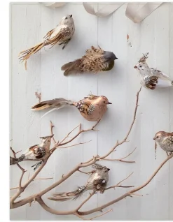 Feathered Friends Christmas Ornament Collection