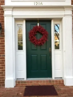 Festive Red Berry Foliage