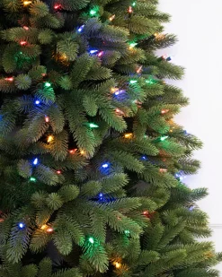 Fifth Avenue Flatback Trees