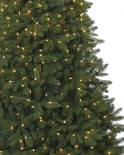 Fifth Avenue Flatback Trees