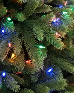 Fifth Avenue Flatback Trees