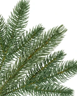 Fifth Avenue Flatback Trees