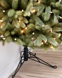 Fifth Avenue Flatback Trees