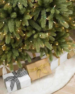 Fifth Avenue Flatback Trees