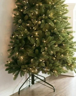 Fifth Avenue Flatback Trees