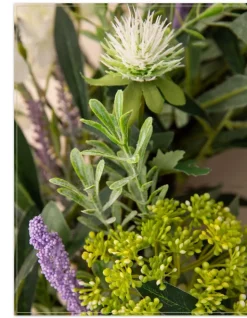 French Market Floral Foliage