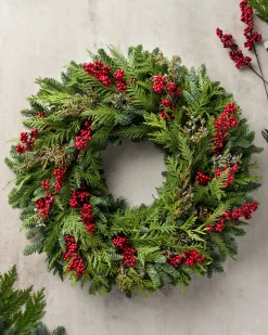 Fresh Cedar Forest Foliage