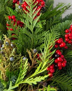 Fresh Cedar Forest Foliage