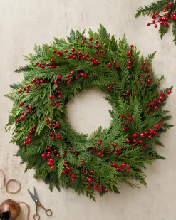 Fresh Cedar Grove Foliage