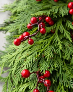 Fresh Cedar Grove Foliage