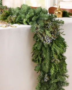 Fresh Evergreens & Juniper Berry Foliage