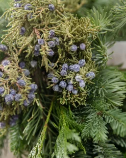 Fresh Evergreens & Juniper Berry Foliage