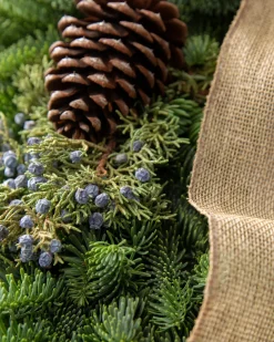 Fresh Evergreens & Juniper Berry Foliage