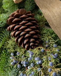 Fresh Evergreens & Juniper Berry Foliage