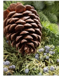 Fresh Evergreens & Juniper Berry Foliage