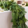 Fresh Noble Fir Woodland Foliage