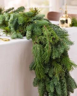 Fresh Noble Fir Woodland Foliage