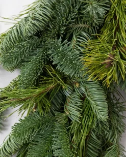 Fresh Noble Fir Woodland Foliage