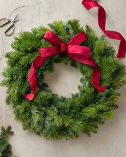 Fresh Noble Fir Woodland Foliage