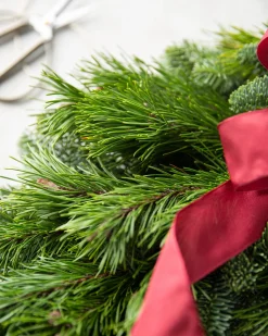 Fresh Noble Fir Woodland Foliage