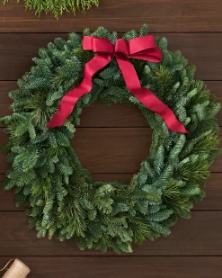 Fresh Noble Fir Woodland Foliage