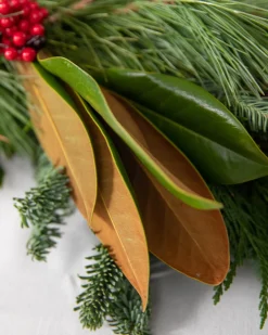 Fresh Southern Magnolia Evergreen Foliage